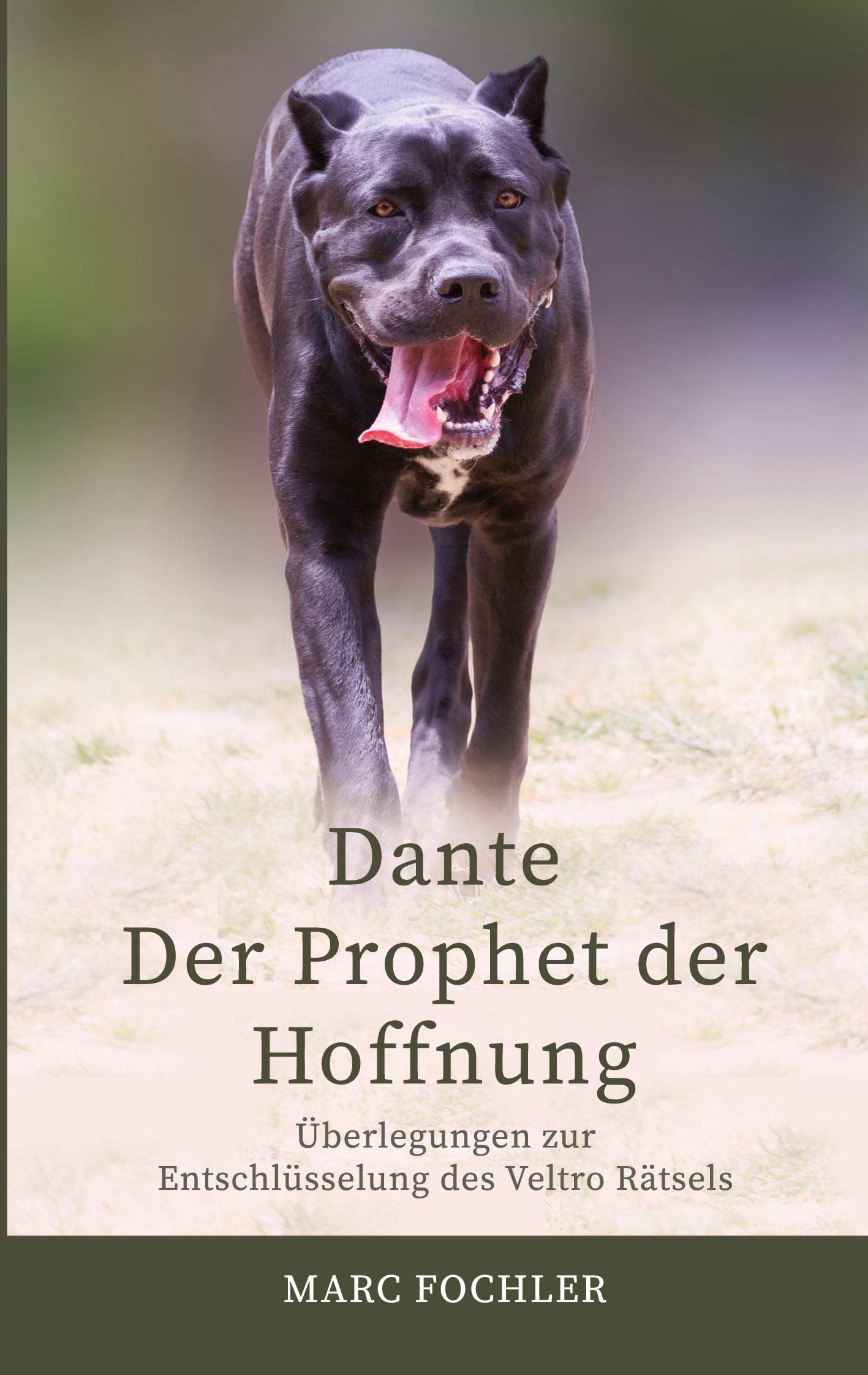 Dante ― Der Prophet der Hoffnung: Überlegungen zur Entschlüsselung des Veltro-Rätsels