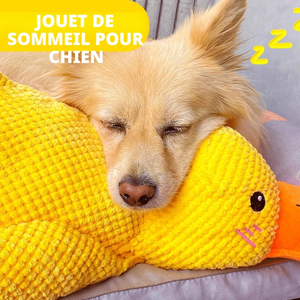 35 cm Grand Jouet en Peluche pour Chien – Canard couineur – Doux et résistant, adapté aux Chiens de Toutes Tailles (Petit, Moyen, Grand)