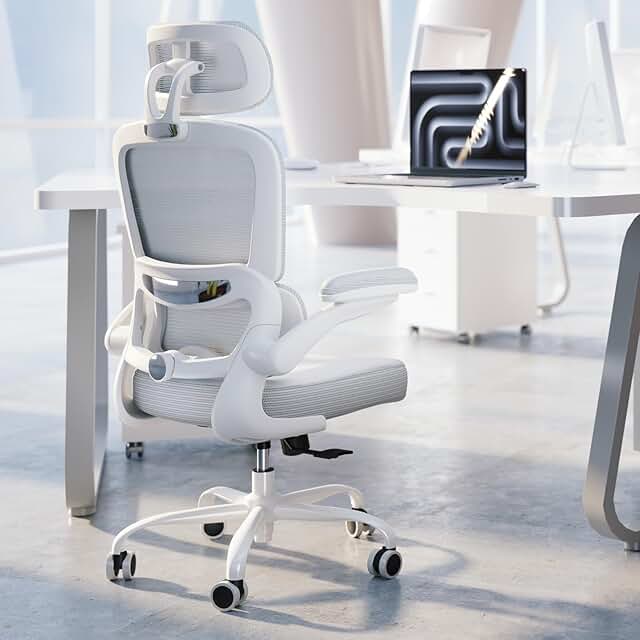 TRALT Ergonomic Office Chair - Desk Chair with Adjustable Headrest Lumba...