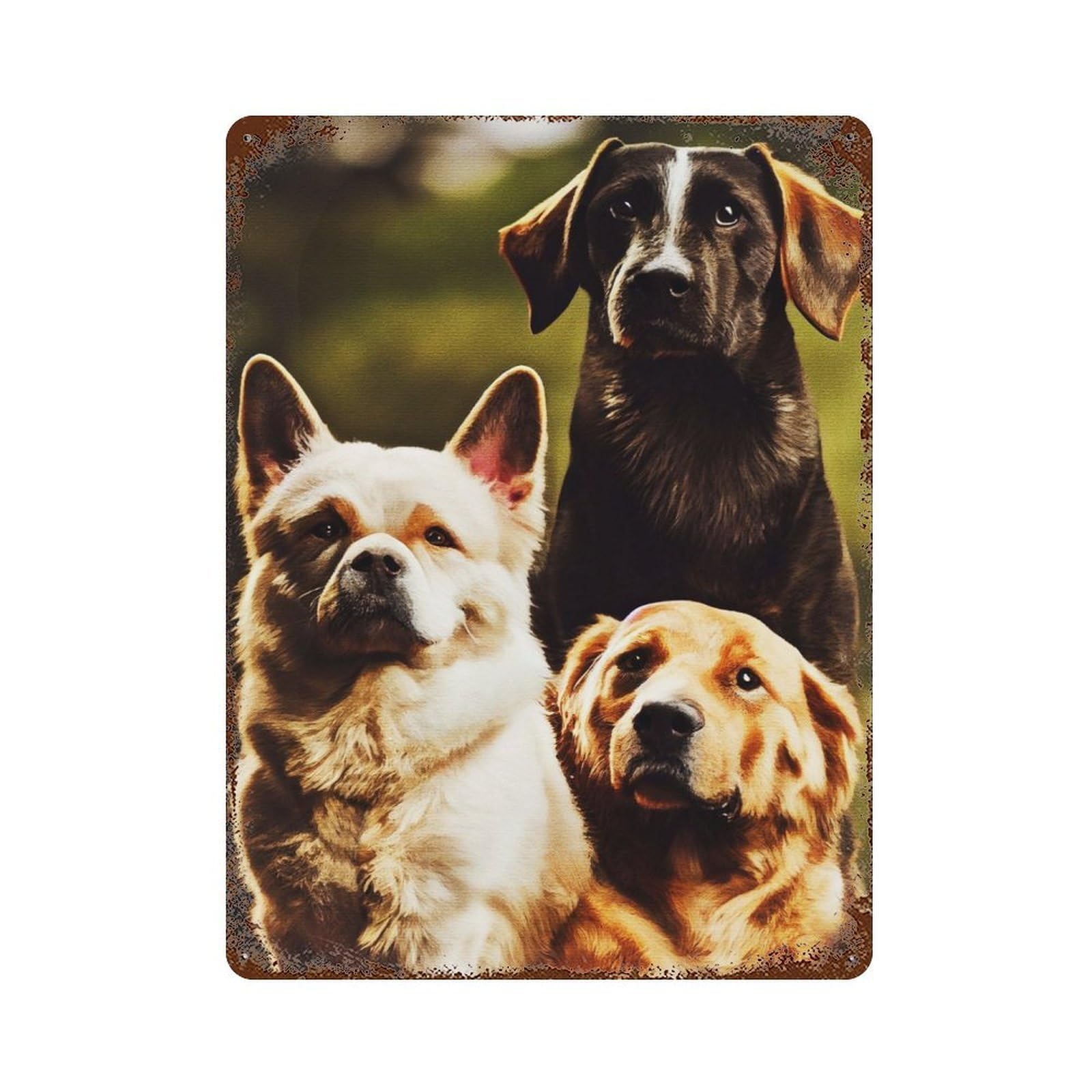 Famous Dog Rusty Metal Tin Sign 15.7"x11.8", for Shed, Workshop And Garage Wall Decor, Novelty Wall Decor