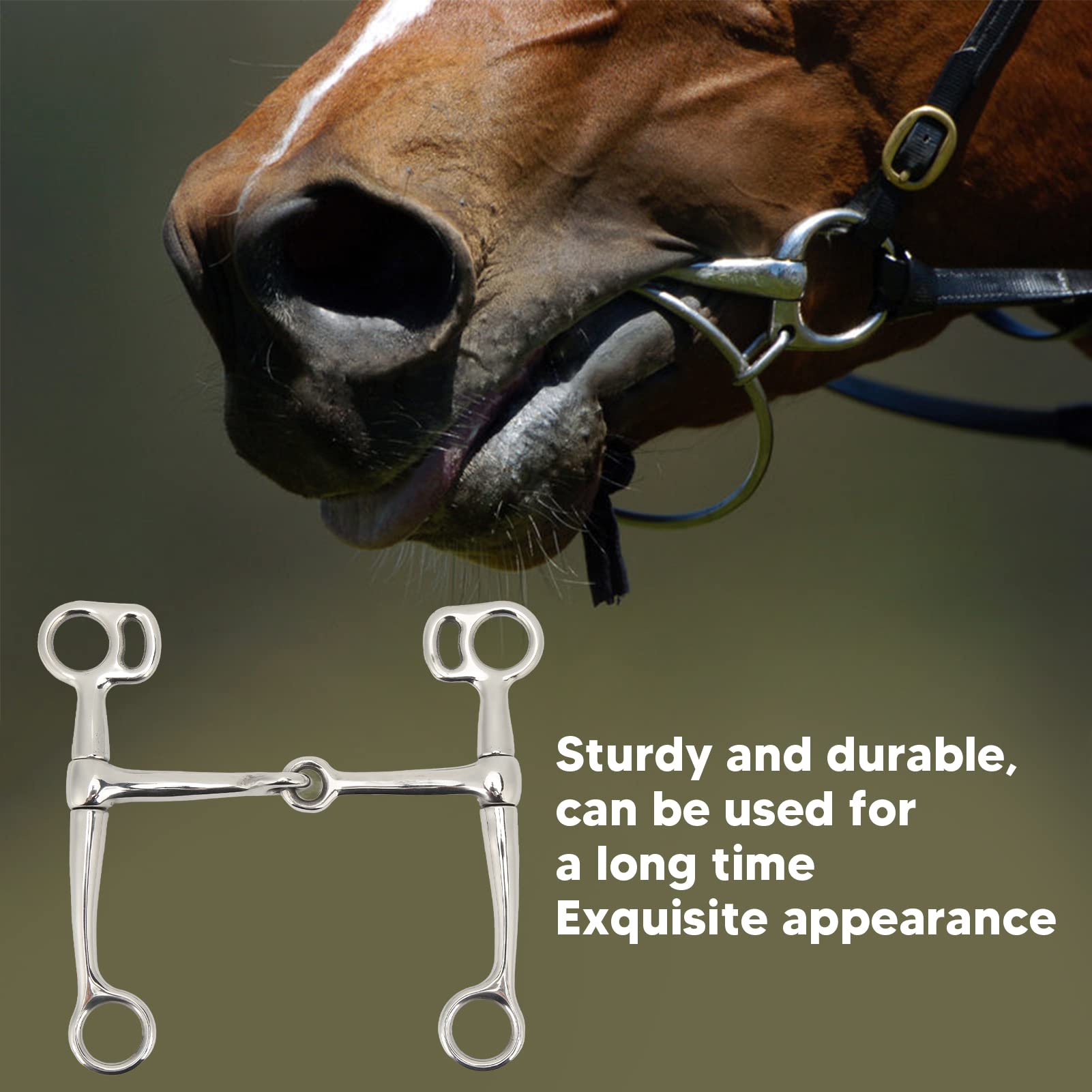 HERCHR Morso per Cavallo, Filetto Ad Anello Filetto in Acciaio Inossidabile Morso per Cavallo con Bocca da 125 Mm con Collegamento per Forniture Equestri