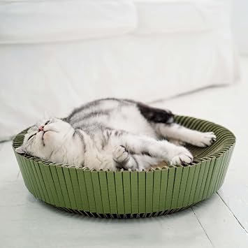 Nest Cat Scratcher Lounge Bed - for Rubbing, Resting, and Scratching Assembled Bundle, Yosemite Green
