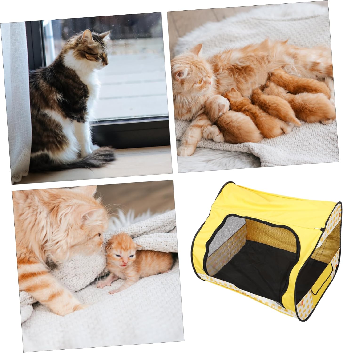 Cat Playpen Tent Foldable Rectangle Puppy Playpen for Use Breathable Wear-Resistant Spacious Space for Cats Pets Removable Design Safe Comfortable Hideout
