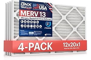 BNX 12x20x1 Air Filters - MERV 13, Electrostatic