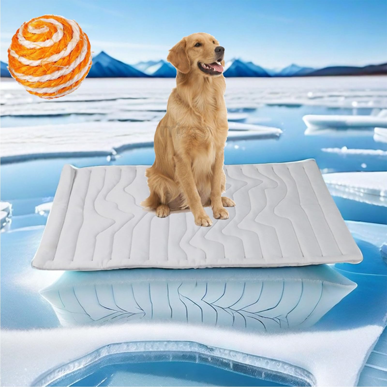 Mondpfote Tapis rafraîchissant pour chien, tapis rafraîchissant pour pattes de chien, tapis rafraîchissant pour chien, tapis rafraîchissant pour chien, tapis auto-rafraîchissant pour chien