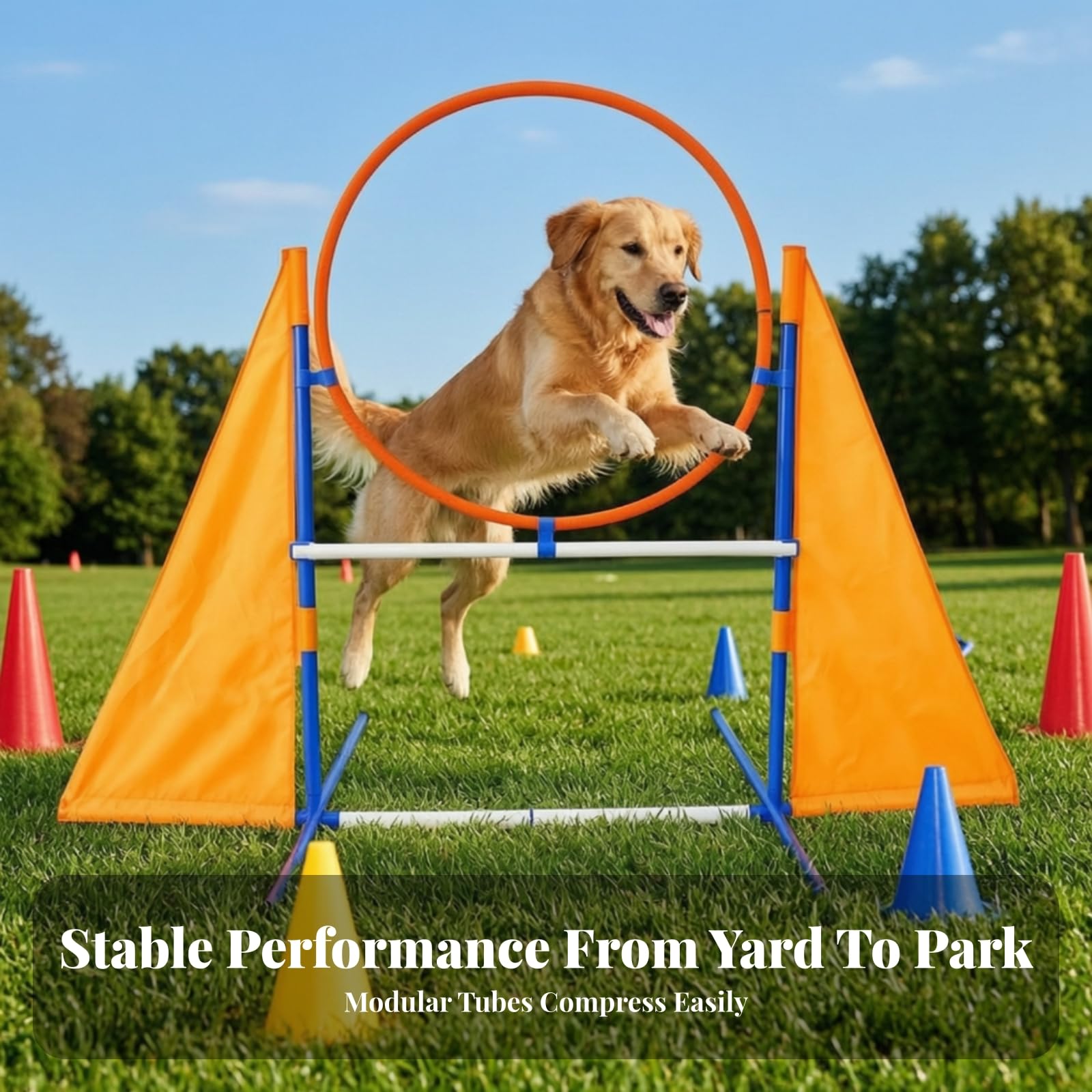 Agility Trainingshürde für Hunde mit Rahmen Und Fahnen aus Oxford Und Kunst für Gezieltes Springtraining Im Garten für Den Täglichen Gebrauch