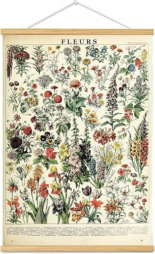 Marco para colgar pósteres de flores vintage, tabla de referencia floral de plantas, decoración de pared, decoración de habitación, estética,