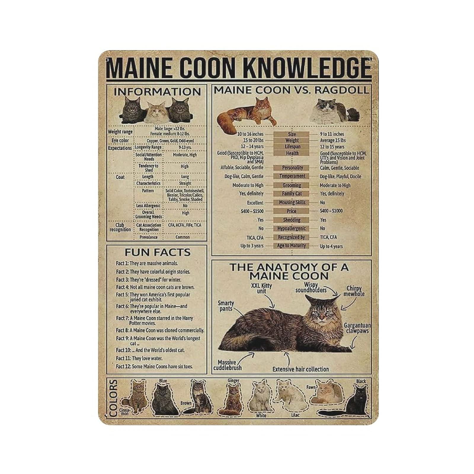 Metal Tin Sign Maine Coon Knowledge Vintage Tin Poster Metal Sign Wall Decoration Country Kitchen Home Garage Decor 16"x12"