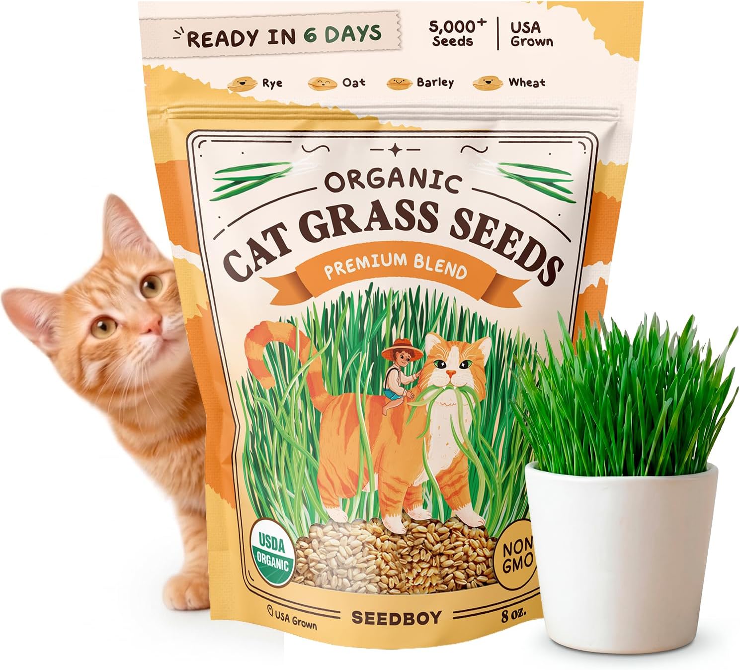 Seedboy Organic Cat Grass Seeds for Planting, Non-GMO Wheat, Oat, Rye, and Barley Cat Grass for Indoor Cats (8 oz) - Amazon product rated Grade B
