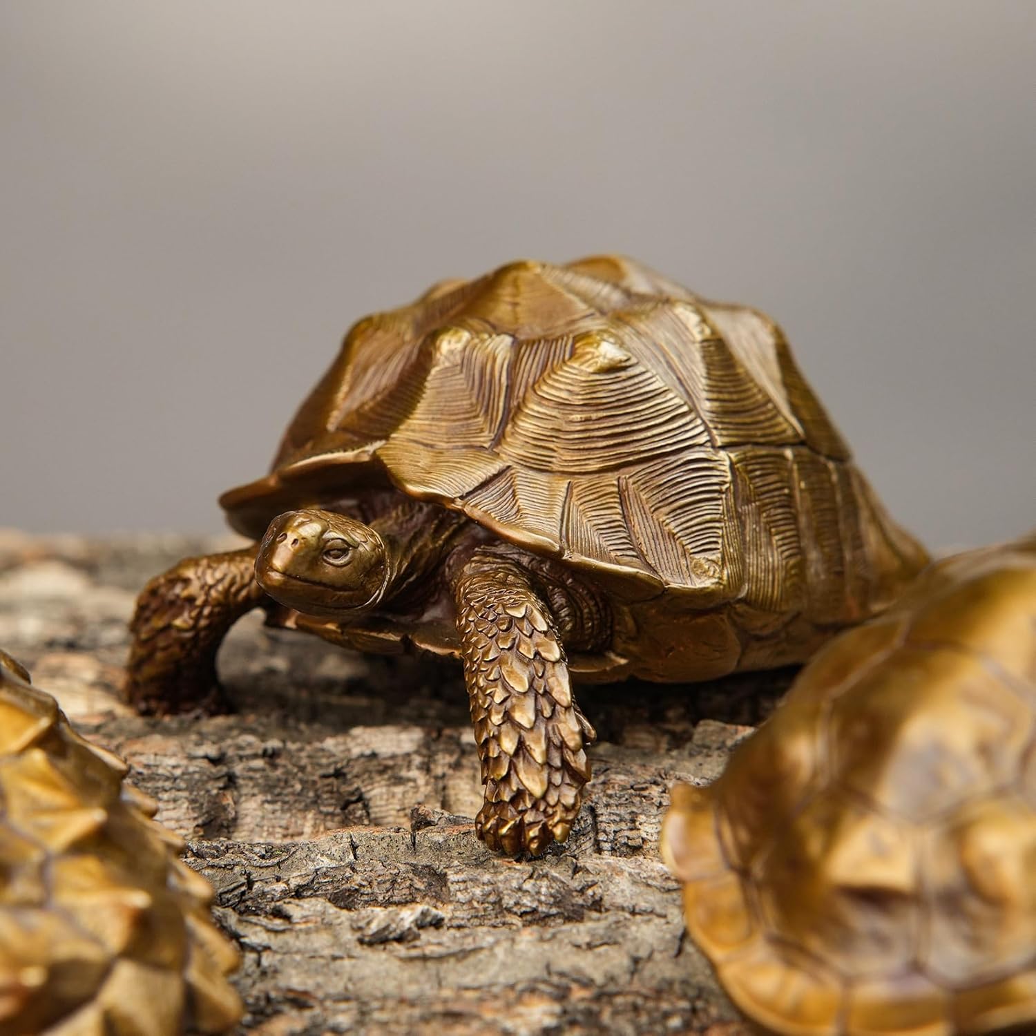 BOWUZHI Studio Sahel Tortoise Bronze Edition Model Turtle Figure
