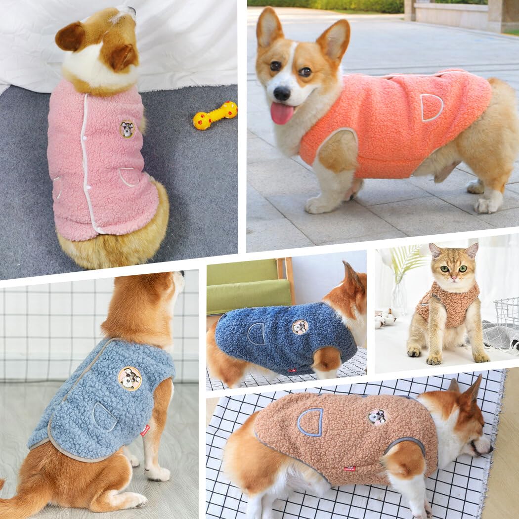 Amazon | Jimjis 犬服 秋冬 サンゴベルベット 犬の冬服 暖かい ペット
