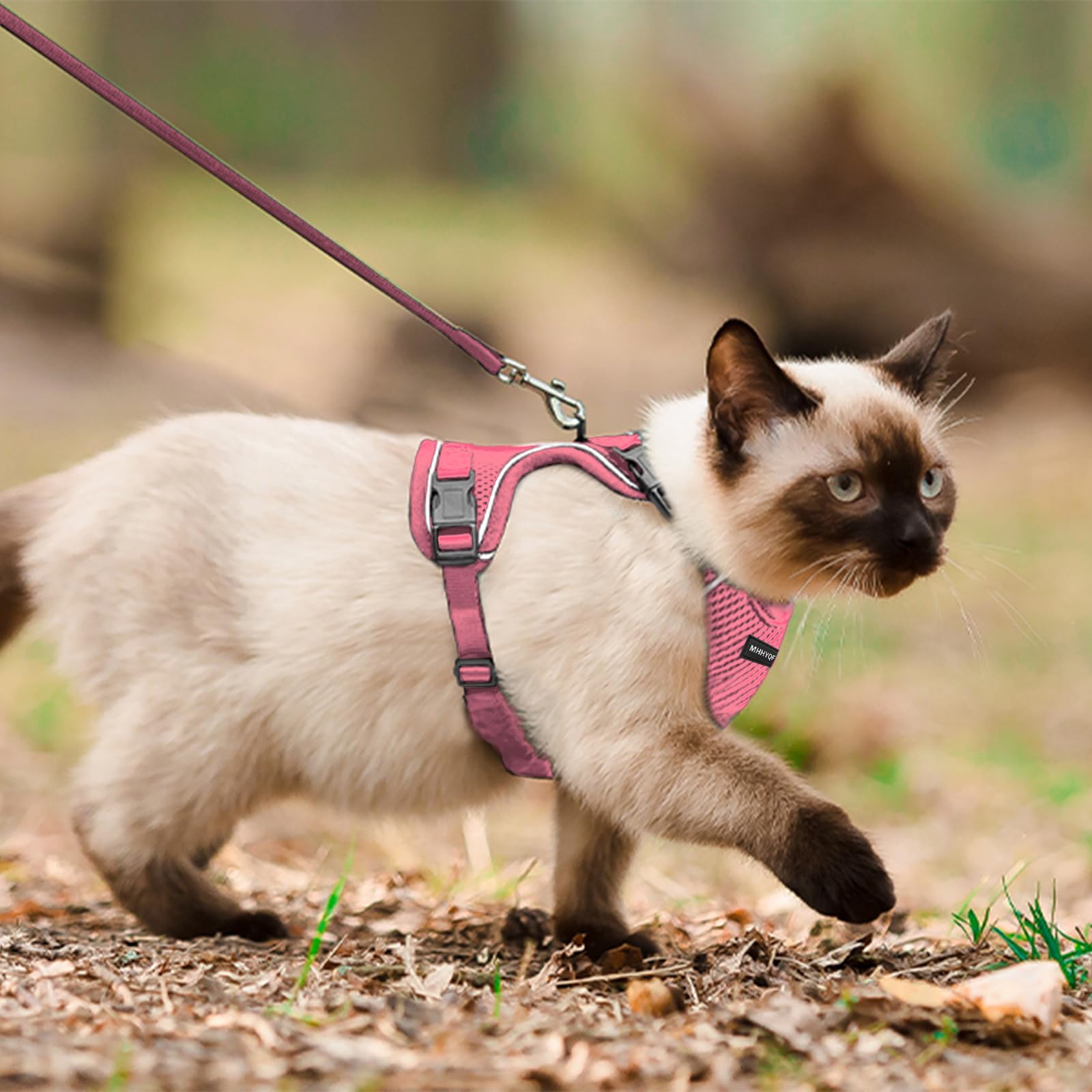 Katzengeschirr und Leine, Set zum Spazierengehen, ausbruchsicher, verbessertes verstellbares Geschirr an Vier Stellen, weiche Kätzchenweste mit reflektierenden Streifen für Katzen, Bequeme