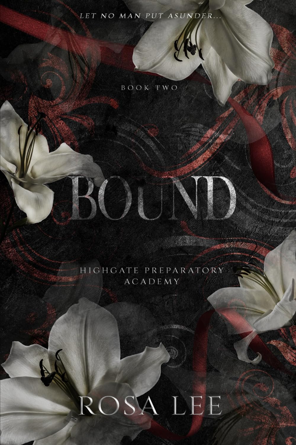 Bound: Highgate Preparatory Academy, Book 2