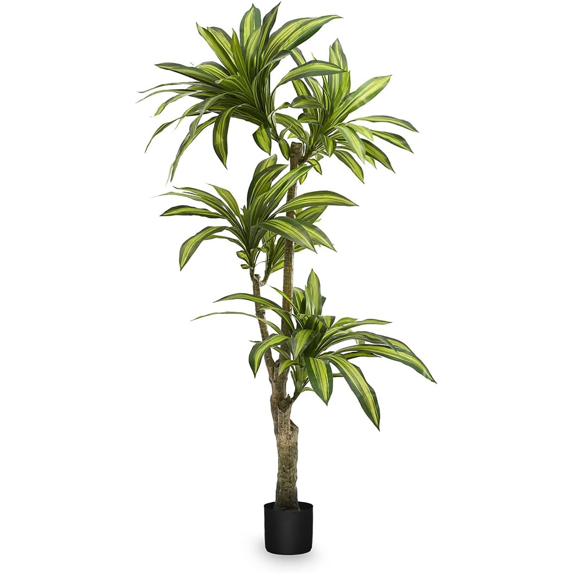 Maia Artificial Plant Dracaena, Shop For Home And Office Decoration, 170Cm B&Q