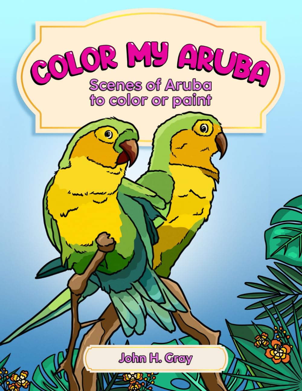 Color My Aruba