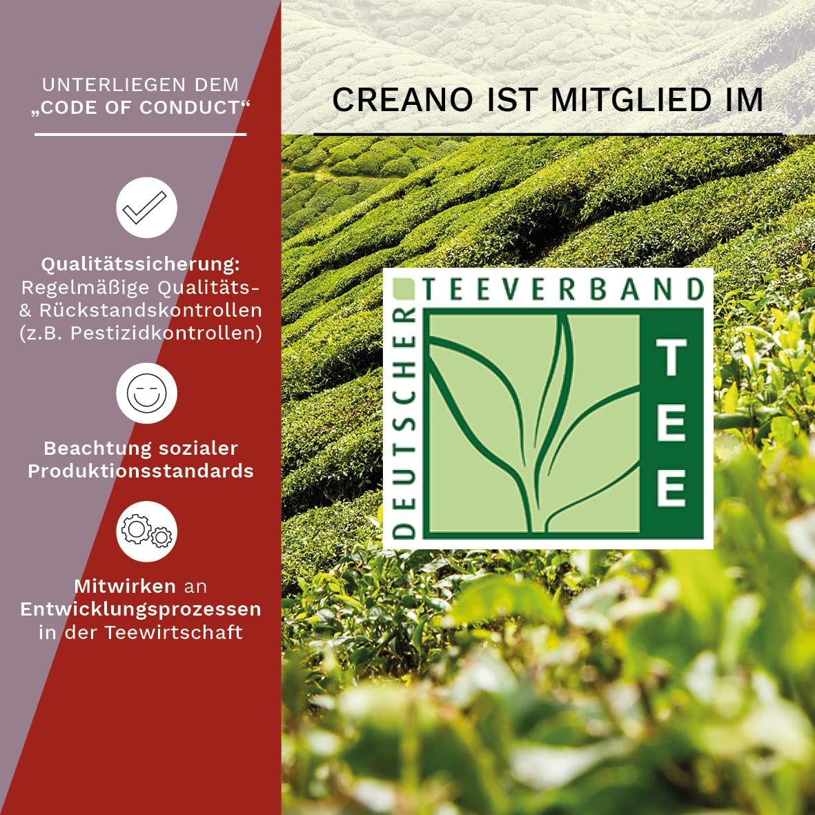 Creano Teeblumen Geschenkset in Teekiste aus Holz 12 Erblühtee in 9 Sorten Weißtee & Schwarztee, Geschenk für Frauen, Mutter, Teeliebhaber