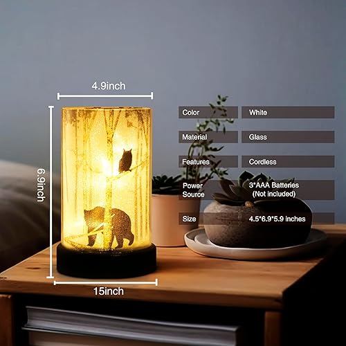 Miniatura 2 de Lámpara de mesa a pilas, lámparas inalámbricas para decoración del hogar, luz nocturna a pilas con bombilla LED, luces decorativas para sala de