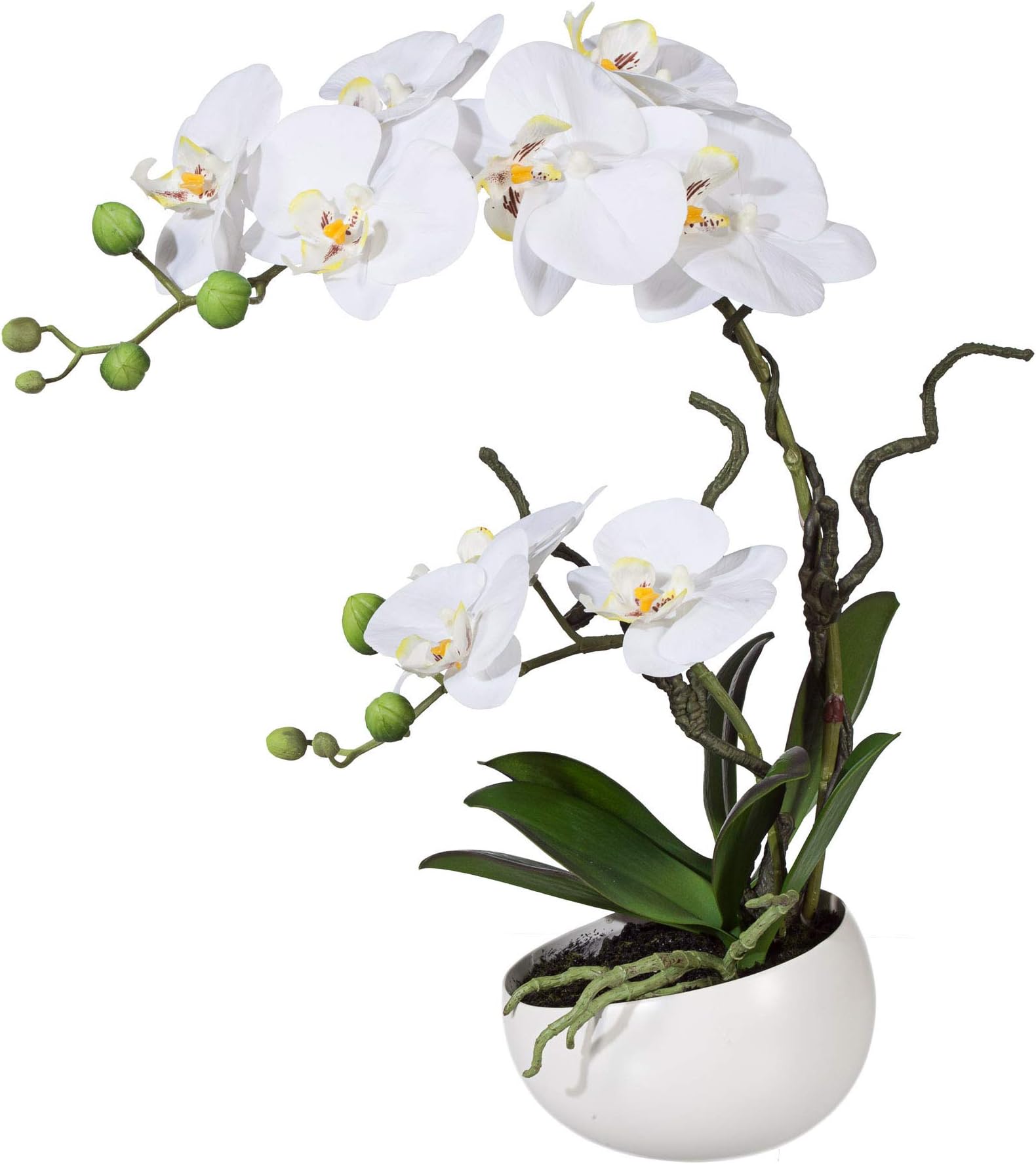 Kunstpflanze Orchidee Höhe: 110 Cm Weiß | AT