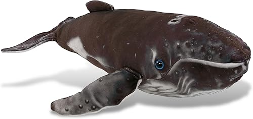 DolliBu Peluche de ballena jorobada, peluche de ballena abrazable, adorable juguete de peluche de ballena para jugar, lindo regalo de animales de