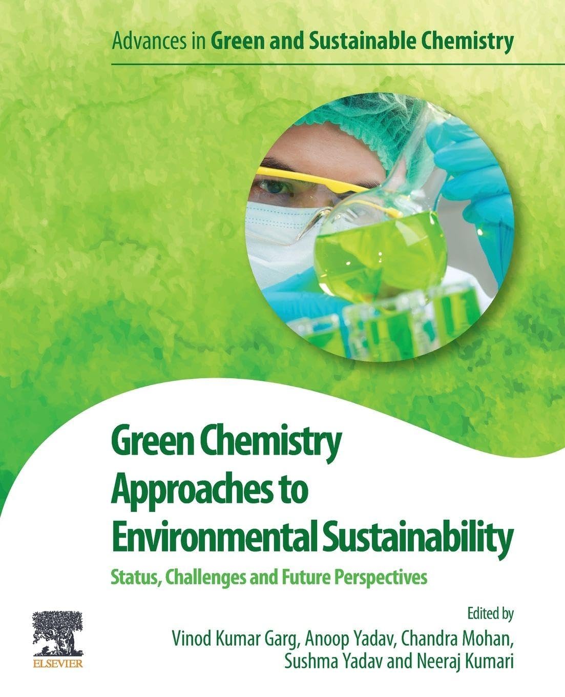 Buy Green Chemistry Approaches to Environmental Sustainability: Status, Challenges and Prospective (Advances in Green and Sustainable Chemistry) — BookShops.in