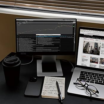 Amazon.co.jp: SOTSU FlipAction Go 14インチ ポータブル