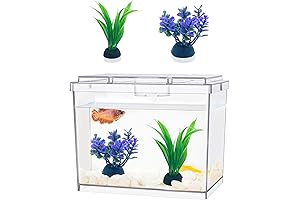 Mini Betta Fish Tank: The Perfect Portable Home for Your Aquatic Pets