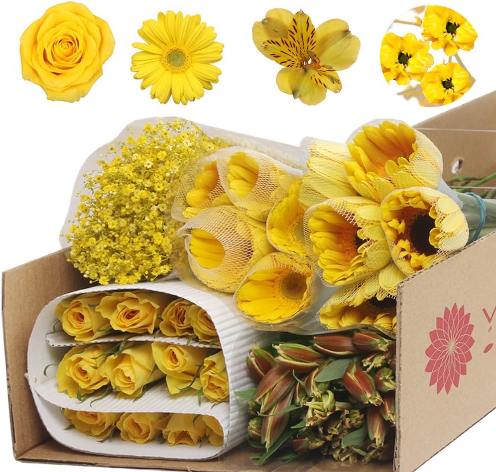 Vistaflor - Monochromatic Yellow Flowers