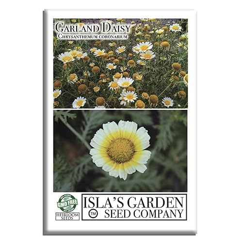 Chrysanthemum Garland Daisy Yellow Crown Daisy Flower Seeds – 1500+