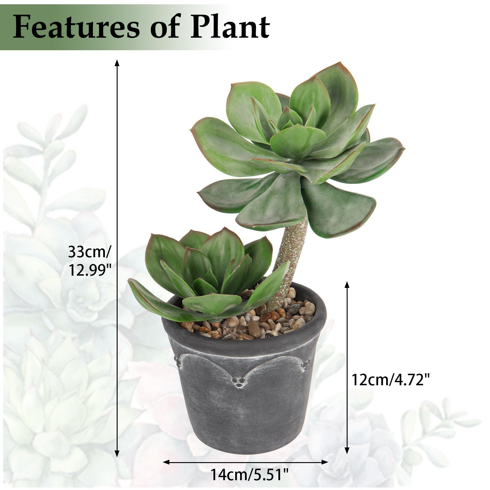 Amazon｜Hollyone 大型人工多肉植物 フェイクツーヘッド多肉植物