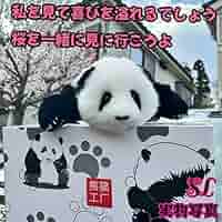 71qVByH3OwL._AC_SY200_QL15_.jpg