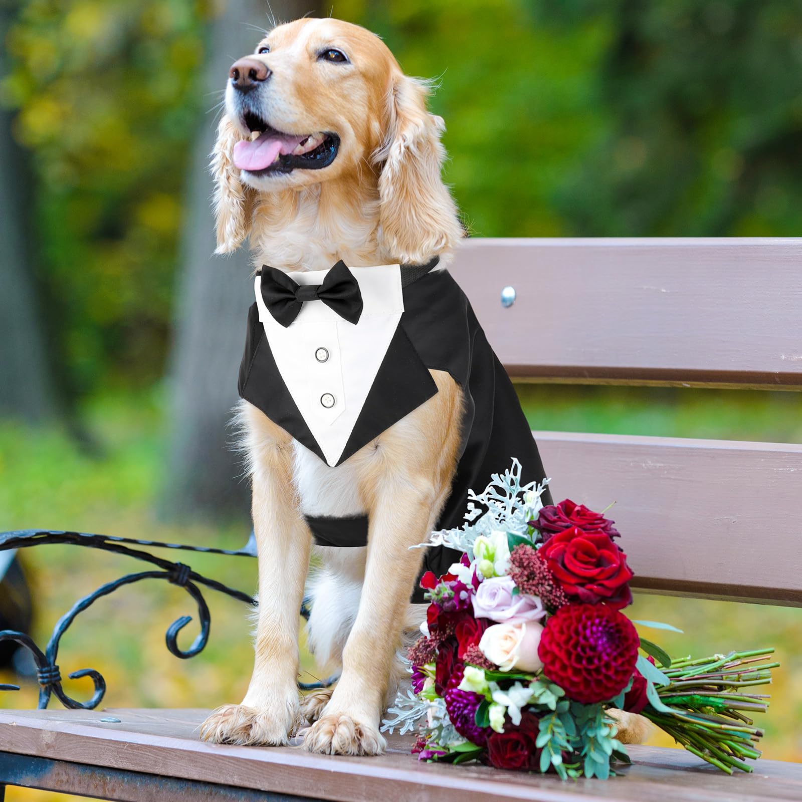 Illumifun Smokinganzug und Bandana-Set, eleganter Hunde-Hochzeitsparty-Anzug mit Fliege, Hemd, Weste, Haustier-Smoking-Kostüm mit abnehmbarem Fliegenkragen (2XL)