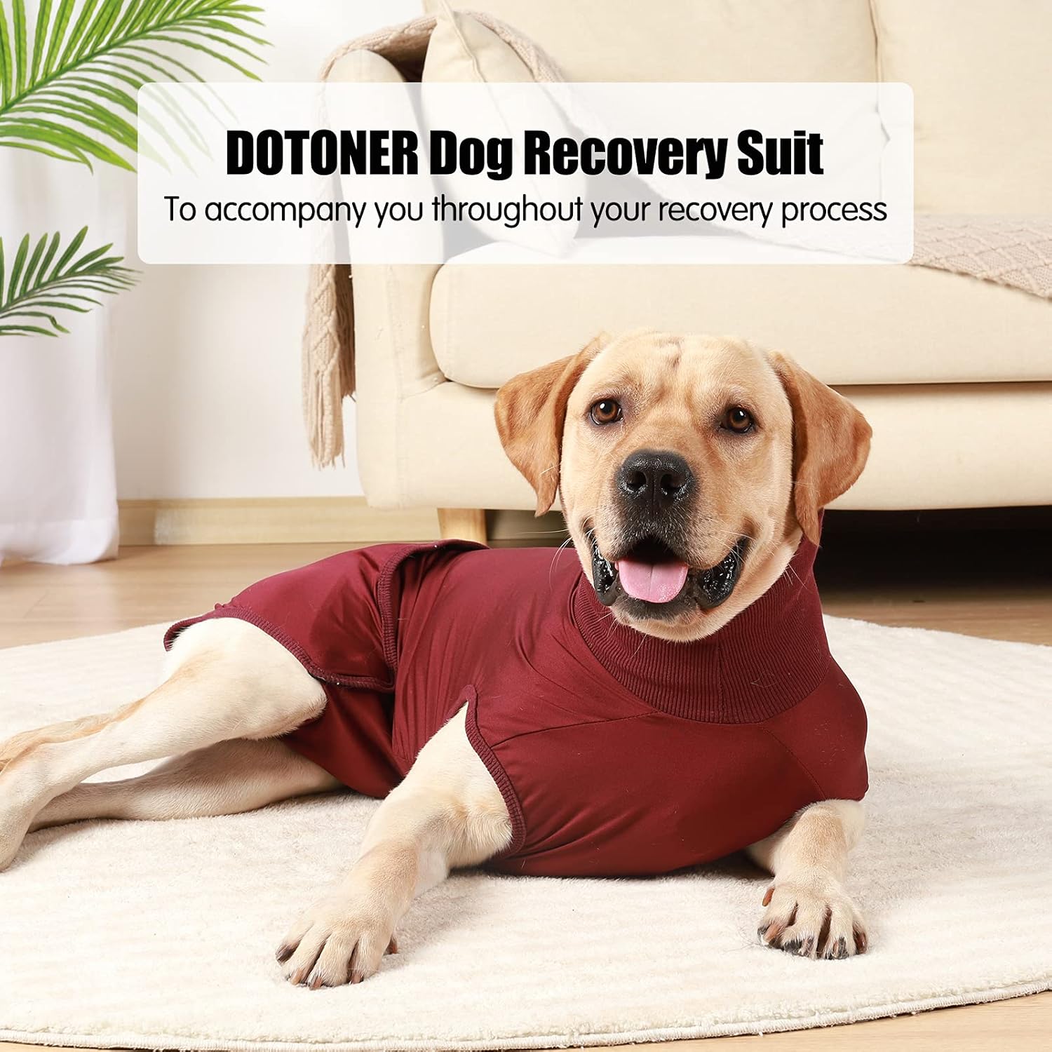 HEYWEAN Full Body Dog Diaper with a Puppy Nappies Physiological Dog Surgery Recovery Suit for Male Female Dogs Small WineRed