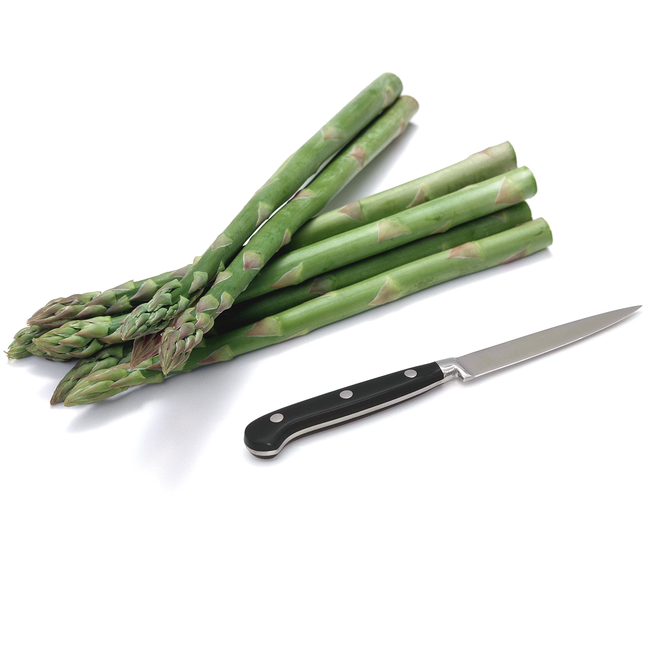 Kitchen Utility Knife - MATTSTONE HILL 4.3