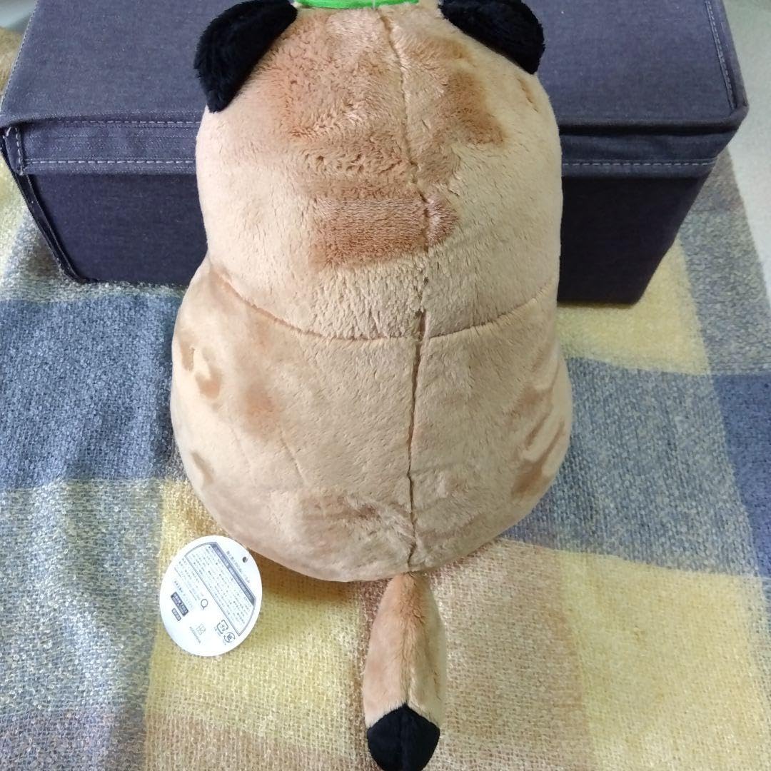 Amazon.co.jp: 雨と君と ぬいぐるみ2体セット : おもちゃ