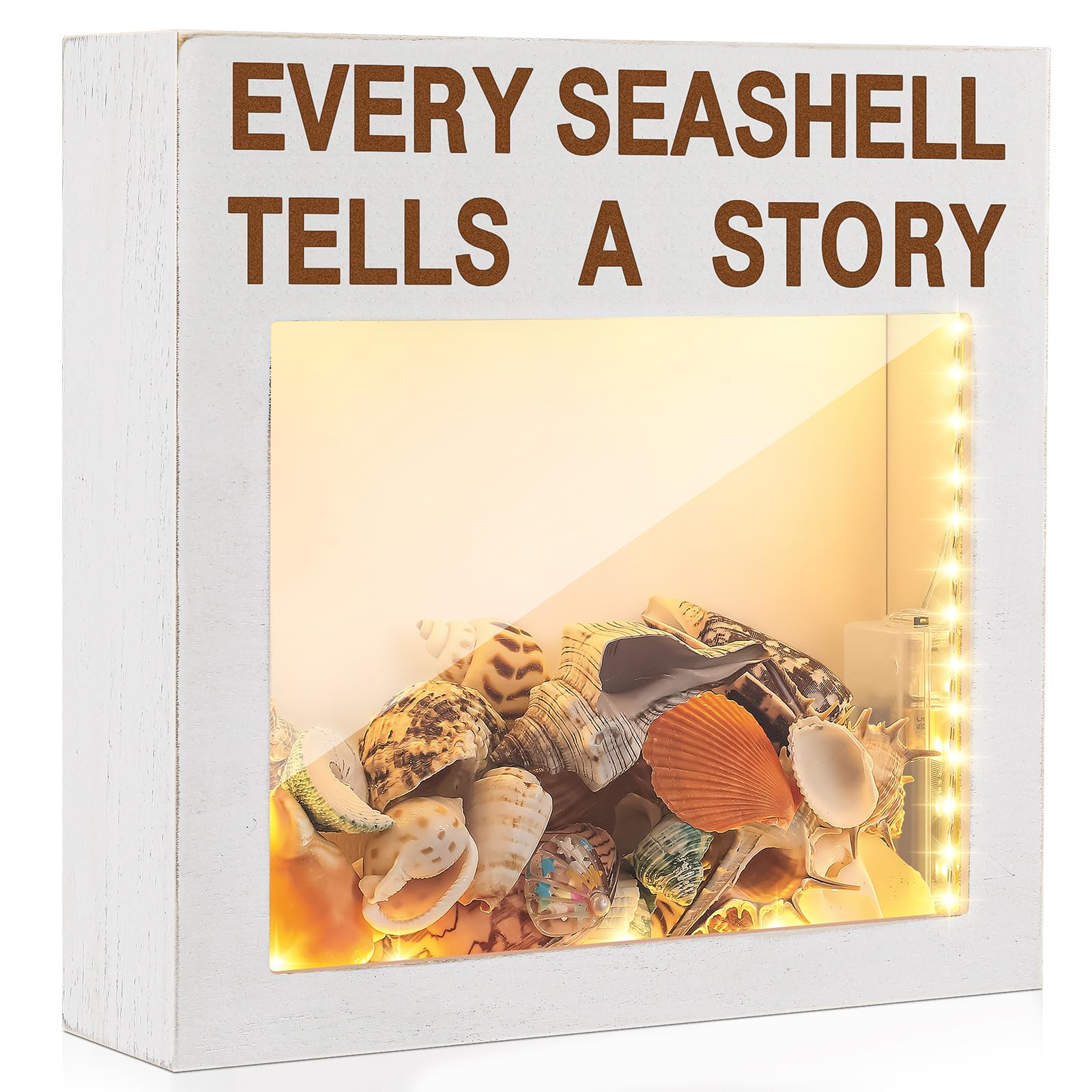 Amazon.com: Juexica Seashell Holder with Light Display Box Room