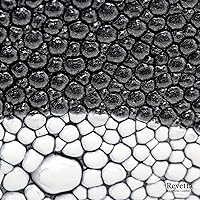 Amazon.co.jp: [レヴェッタ] エイ革 長財布 スティングレイ ガルーシャ