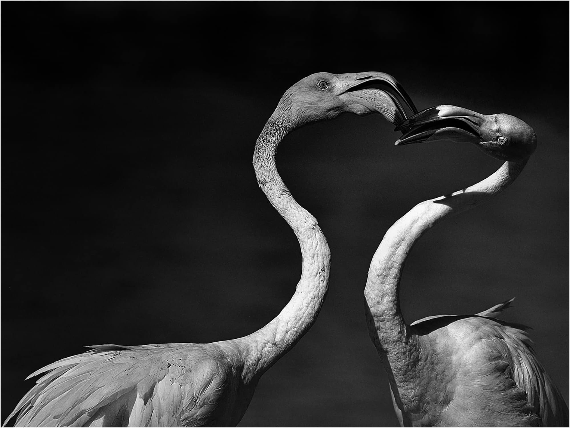 Trademark Fine Art 'So It All Began' Canvas Art by Claudio Moretti