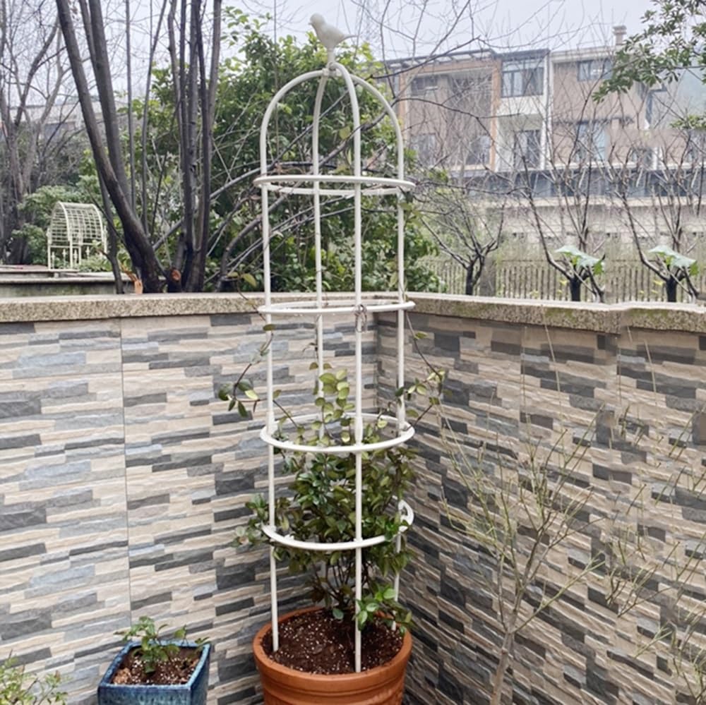 Metalowy obelisk ogrodowy do roślin pnących - dekoracyjna okrągła kolumna róży z wzorem ptaka, opcje wysokości 180-330 cm, trwała czarna podpórka do kratki ogrodowej