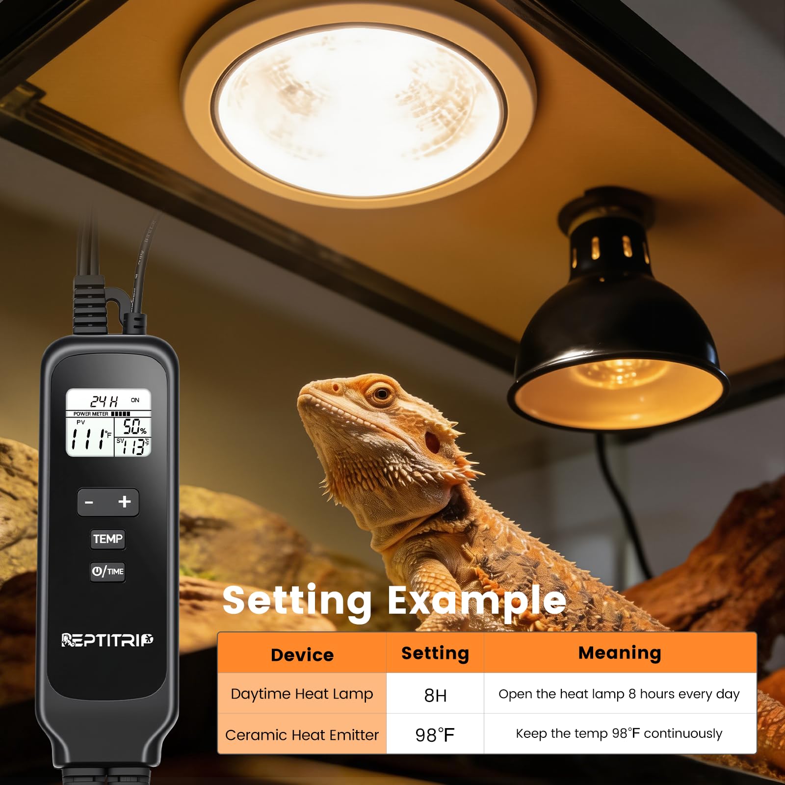 2 in 1 Reptile Dimming Thermostat with 2 Socket for Timer & Heating Control, Thermostat for Reptile Heat Lamp Heat Pad, PID Temperature Controller, Memory Function, ℉/℃ - image 3