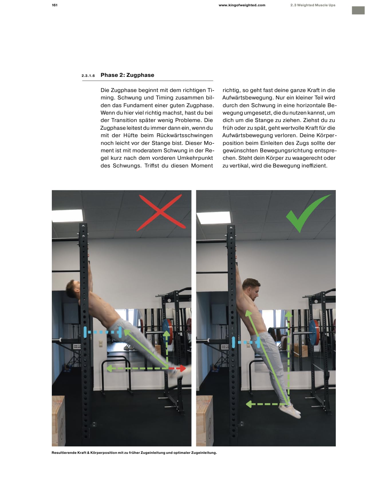 Understanding Calisthenics - Wie du systematisch Calisthenics Skills erlernen und dein Weighted Calisthenics verbessern kannst