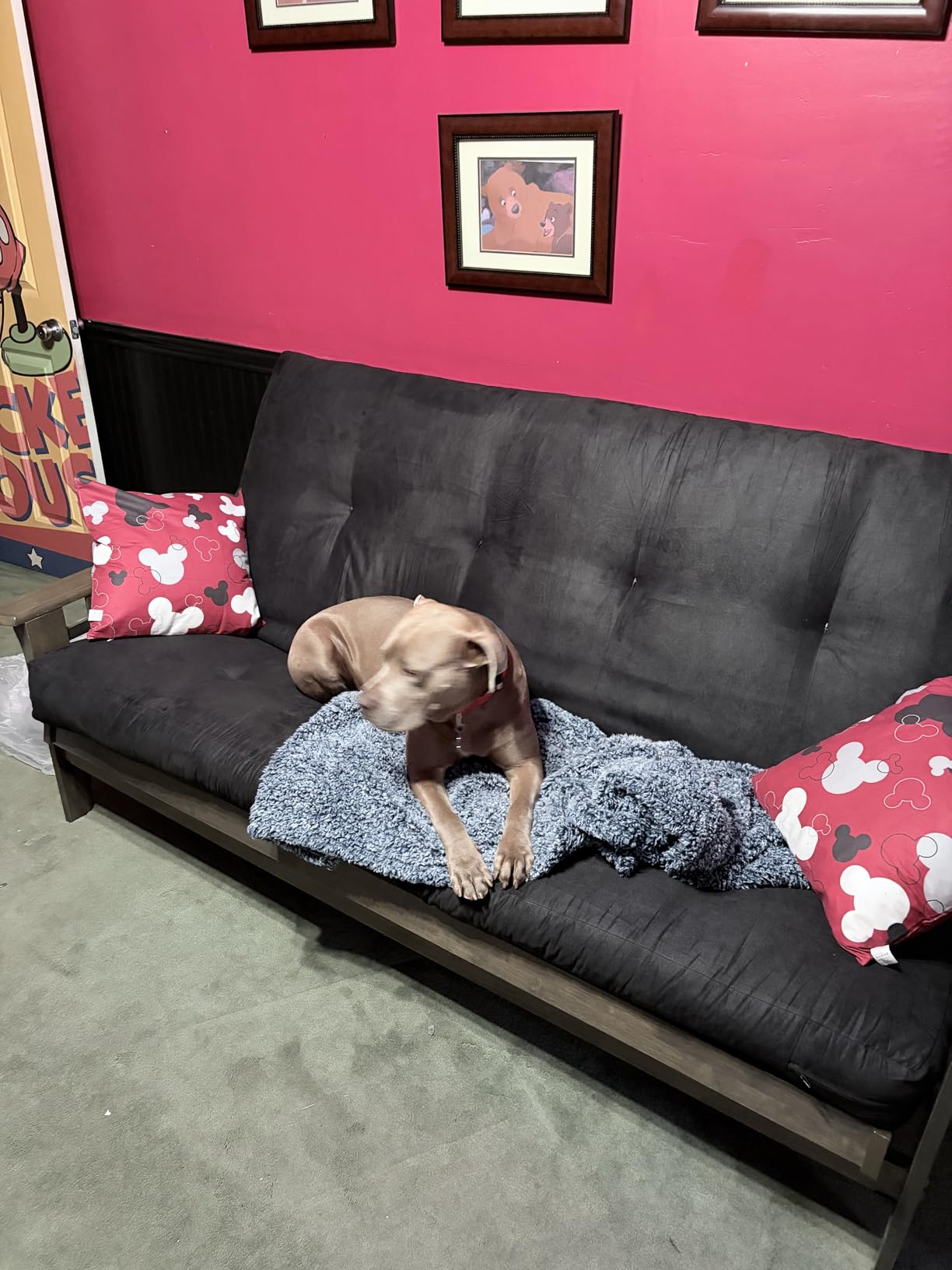 Customer review photo