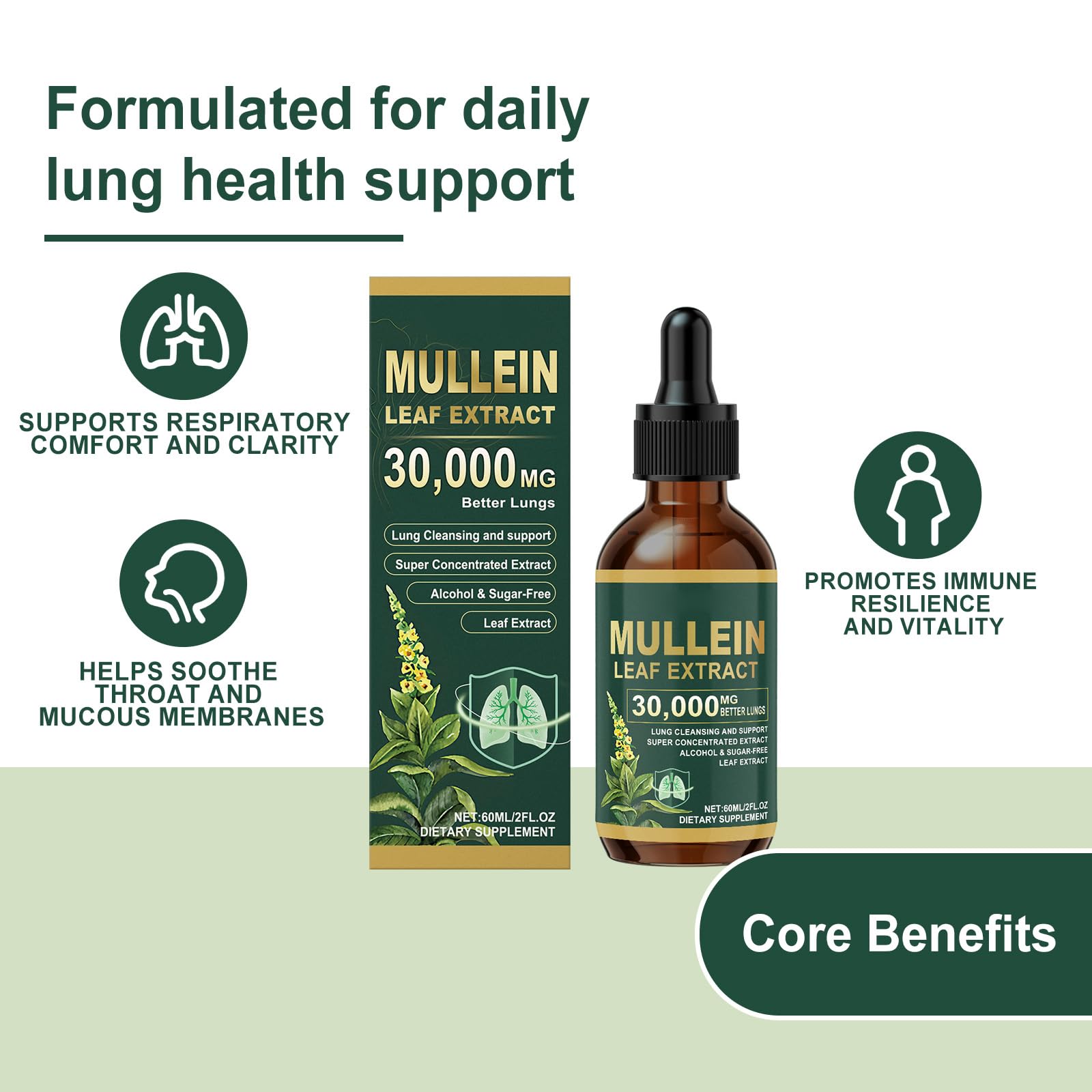 Königskerze Tropfen für Lungen, Mullein Tropfen Lungenfrei, Königskerze Extrakt 30000, Mullein Drops for Lungs, Königskerzen Lungenreinigung fur Die Lunge, Herbal Lungenreinigung, 3 Pc