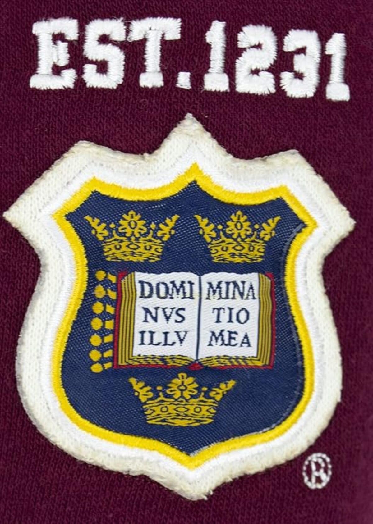 Oxford University OU129 - Sudadera con capucha y cremallera para niños, color granate Rojo rojo (Maroon) 9-10 Años