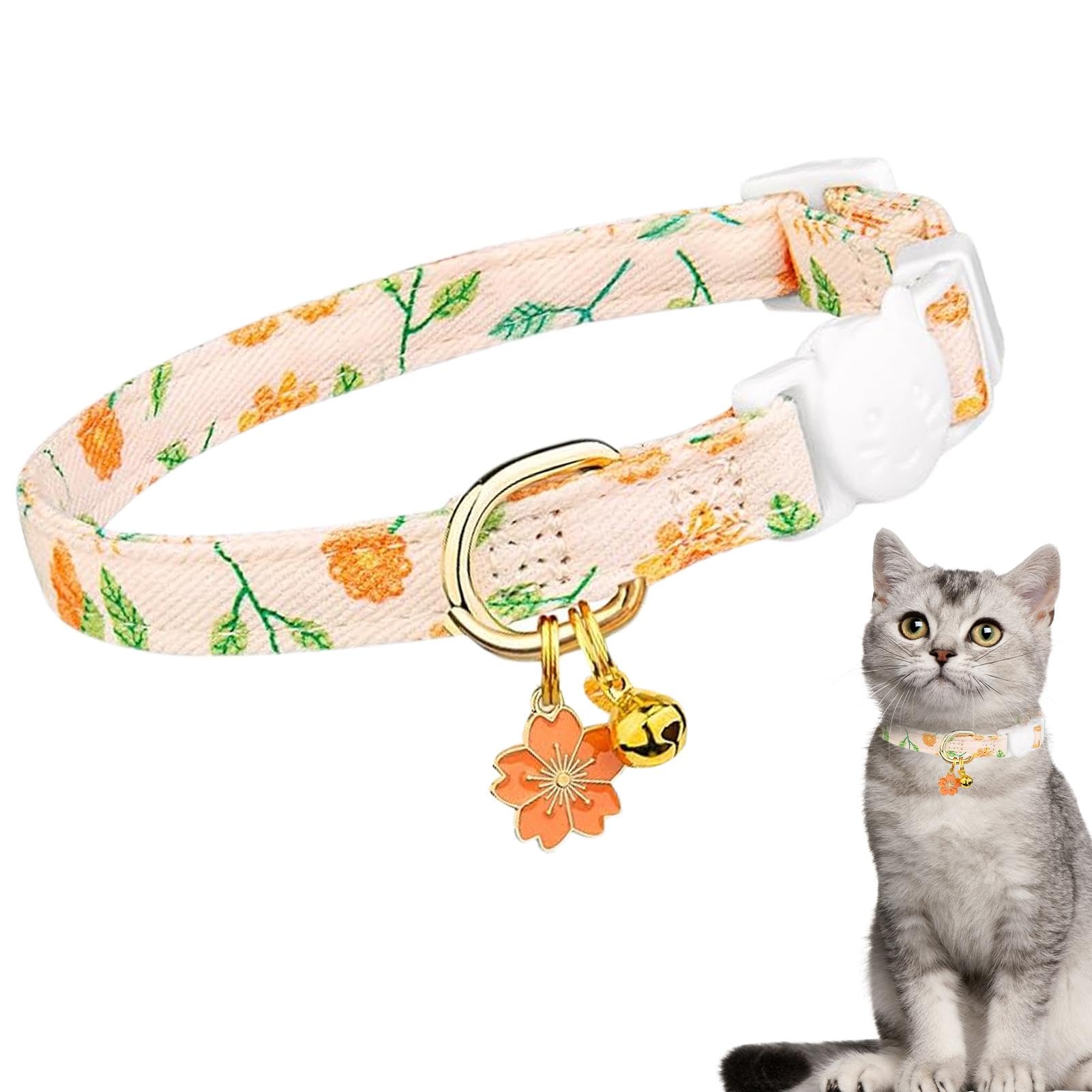 Collier de chat de boucle de sécurité pour les aventures en plein air