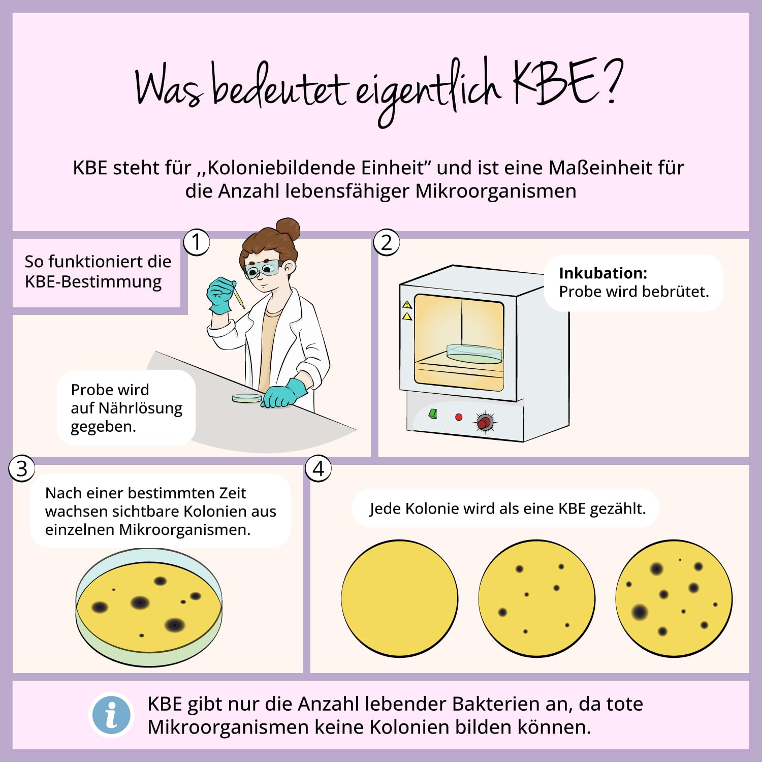 Femme Biotics | Intimflora Komplex mit Vitaminen, Cranberry Extrakt & Inulin | 60 Kapseln | 6 Milchsäure- und Bifidobakterienstämme | Vegan, ohne Zusätze | Dt. Produktion Vegavero