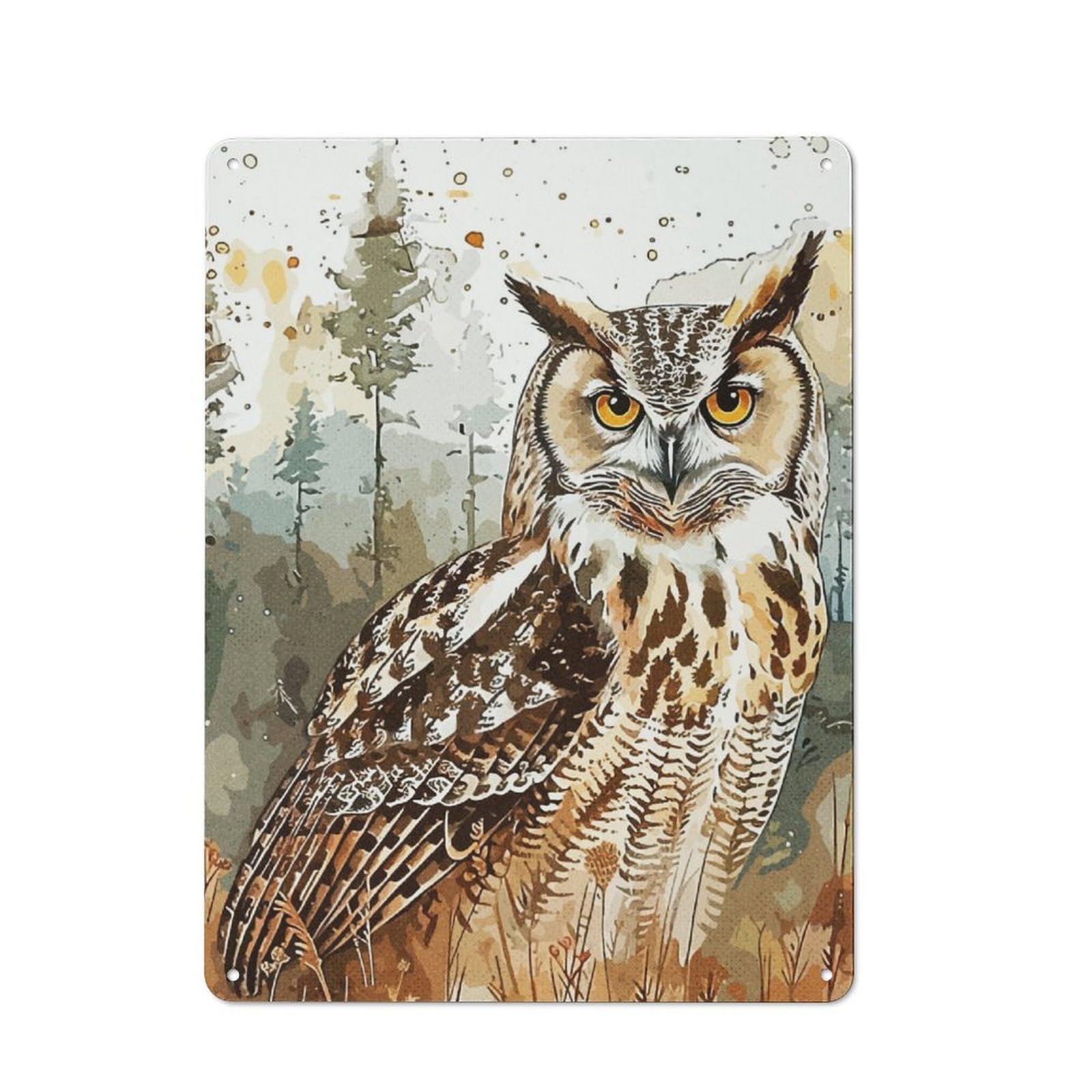 Junmoney Owl Vintage Paint Character Decorative Tin Plaque 40X30cm Featuring Home Wall Decor For Flat, Dorm Room, Lounge Or Cafe