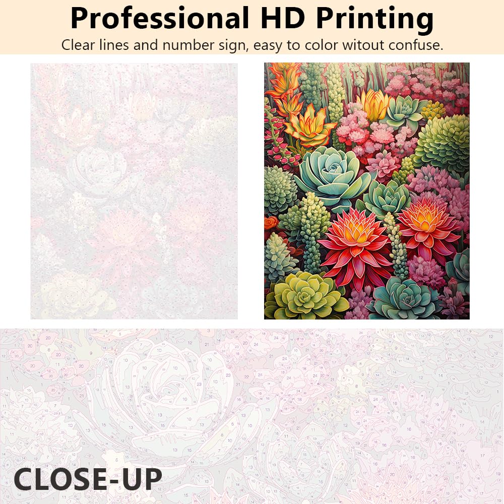 LAISLLA Pintura Por Números Para Adultos, DIY Pintura Por Números