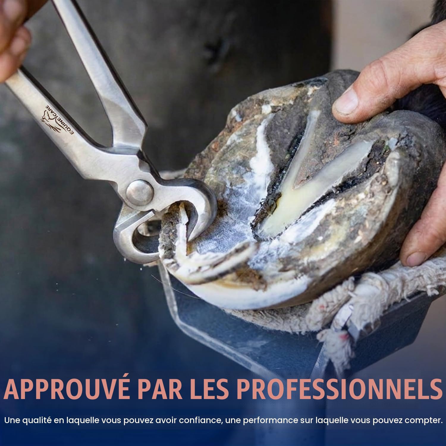 Equine Care Pince à sabots pour chevaux 38,1 cm
