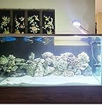 Review Image by Frank T Frank T