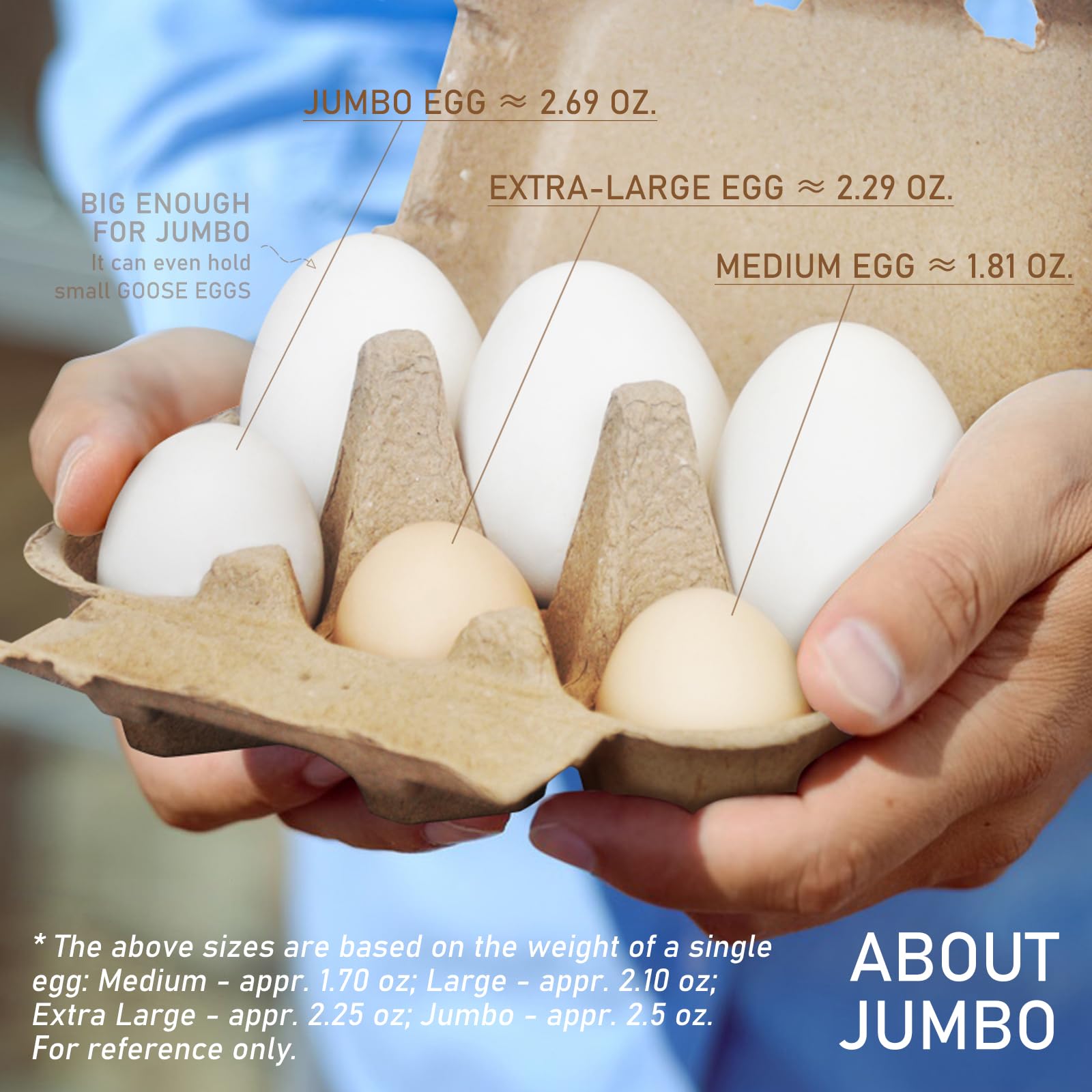 Paquete de 20 cajas de huevos de pato gigantes, con capacidad para hasta media docena de 6 huevos a granel, contenedores vacíos de cartón de grosor natural, cajas de huevos de pulpa natural,